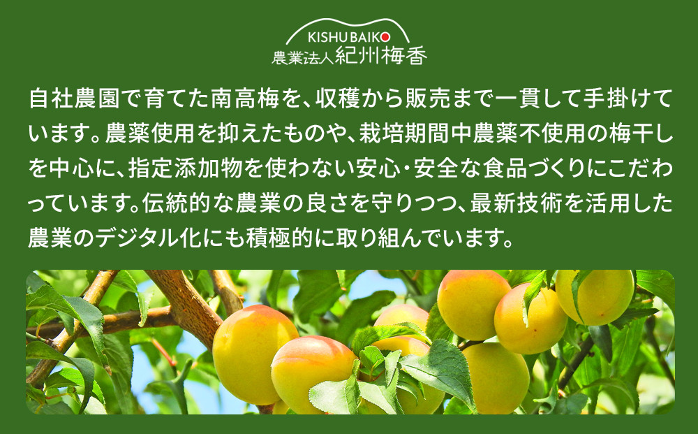 規格外品 無添加 栽培期間中農薬不使用 昔ながらの梅干し 紀州南高梅 塩のみで漬けたすっぱい梅干し 800g（400gパックx2個）塩分約23% 3年熟成品 N20-K ［KU8］