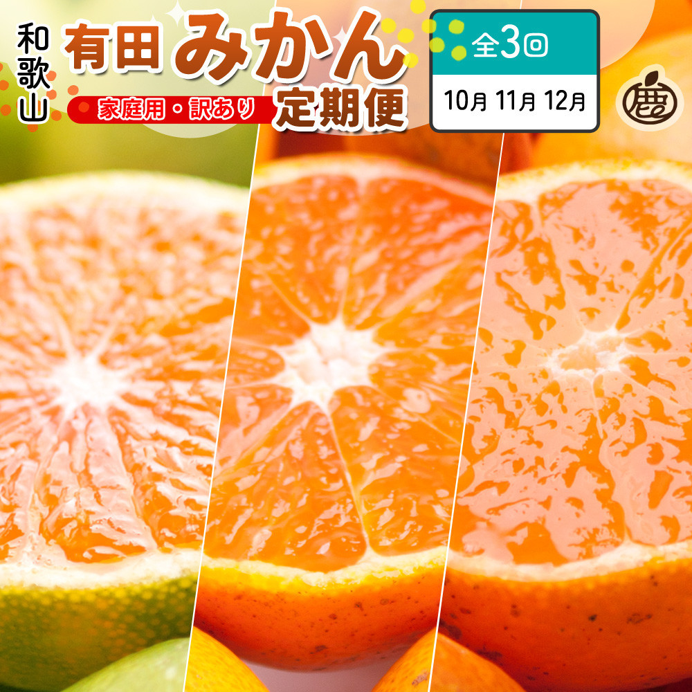 家庭用 柑橘定期便SS（10～12月）全3回【みかん定期便お試し版】 ［IKE299］