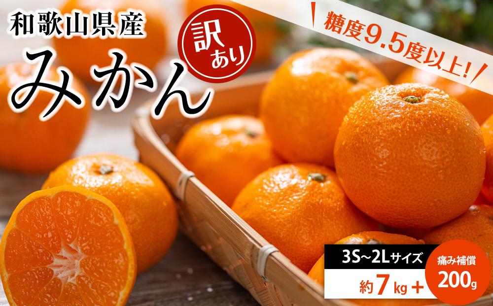 和歌山県産 糖度 9.5度以上 訳あり みかん 7kg 傷み補償+200g 3S ～ 2Lサイズ混合［MG58］