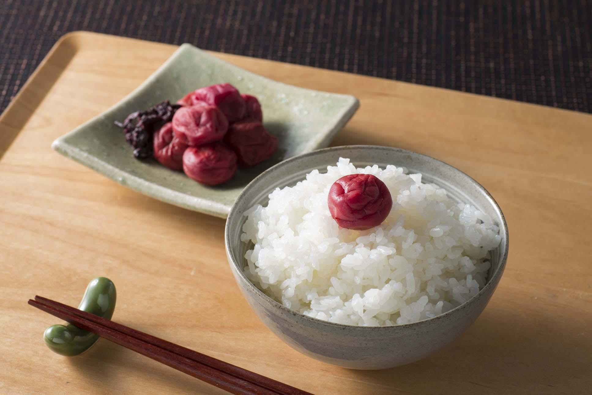 ［梅干・梅酒用］大玉4Lサイズ約10kg熟南高 生梅 赤秀品＜2026年6月上旬～7月7日発送予定＞［ART02］