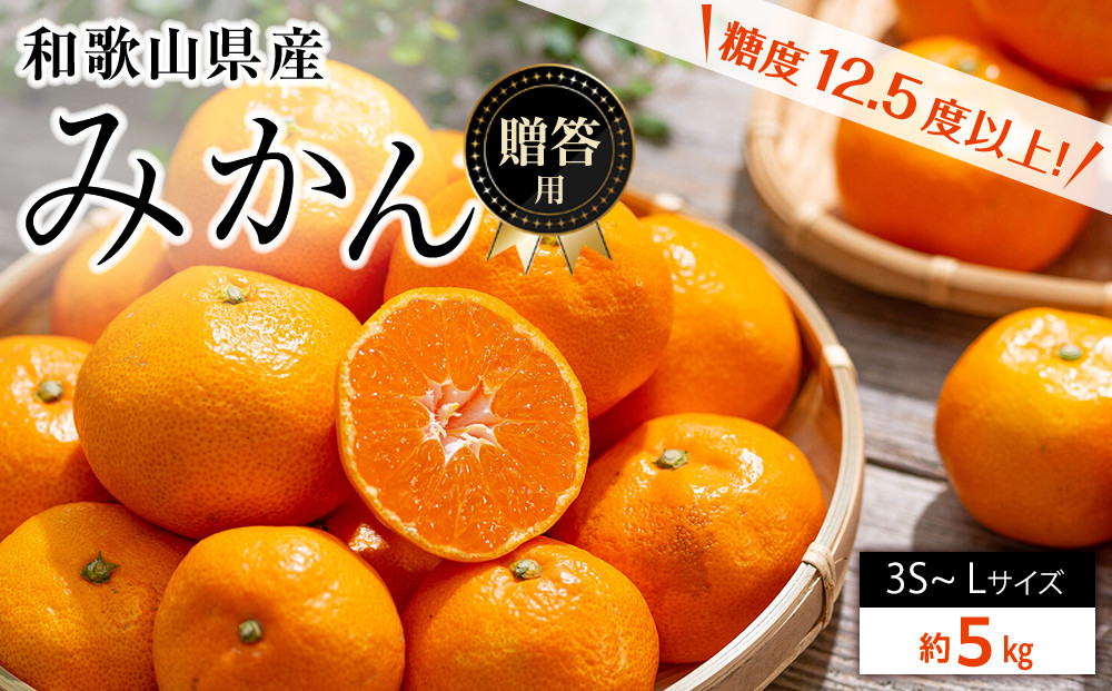 和歌山県産 糖度 12.5度以上 秀品 贈答用 みかん 5kg 3S ～ Lサイズ混合［MG55］