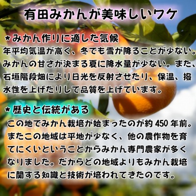 譛臥伐縺ソ縺九sシサ迚ケ遘蜩シュス橸シャ縲鬮倡ウ門コヲシス邏10kgシ2026蟷エ10譛井ク頑流ス12譛井ク区流鬆谺。逋コ騾シサNGT4シス