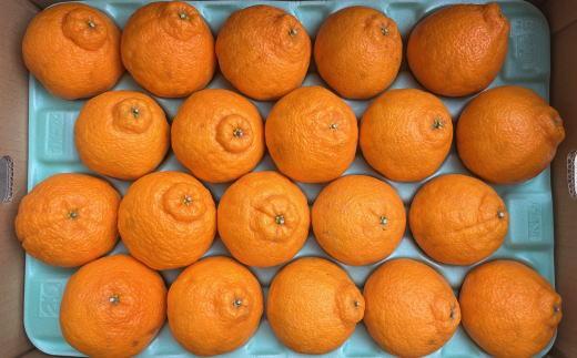 和歌山県産不知火約5kg（18玉～24玉おまかせ）L～3Lサイズ★2027年2月下旬頃より順次発送［TM159］