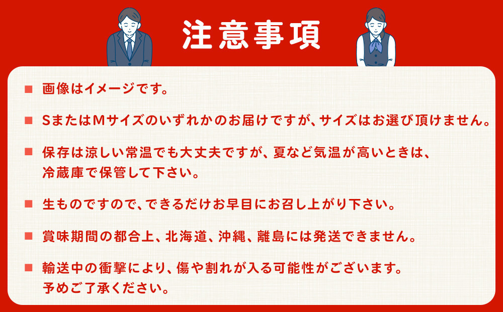 ［2026年4月出荷分］和歌山産ミニトマト「アイコトマト」約1kg（S・Mサイズおまかせ）［TM231］