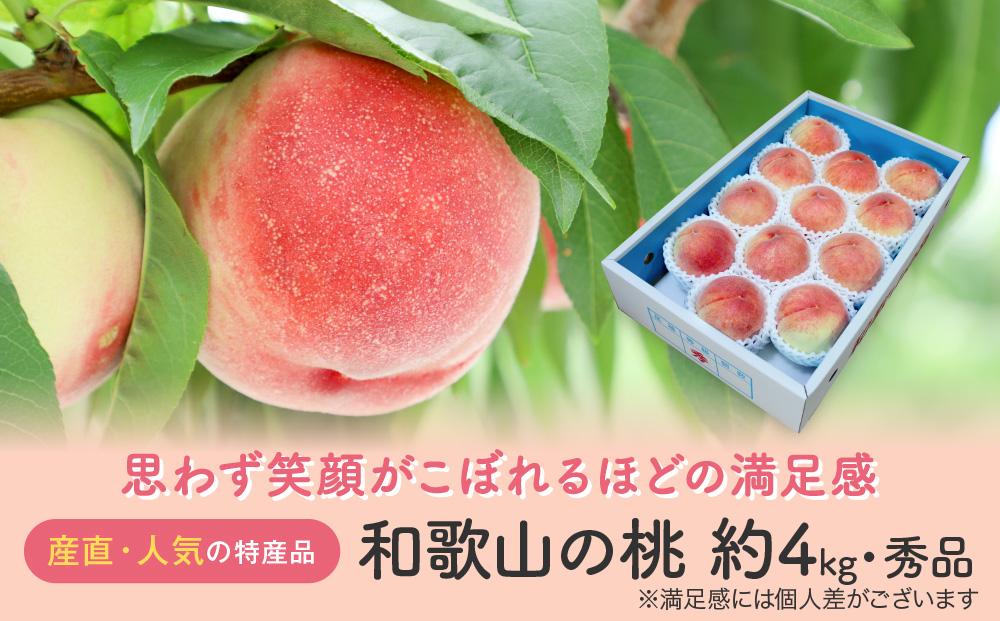［農園直送］朝採れ和歌山の桃　約4kg・秀品★2026年6月下旬～8月中旬頃順次発送★［TM168］