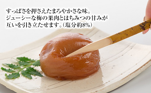 大粒の紀州南高梅 人気のはちみつ仕立て「極」16包　［SB2］