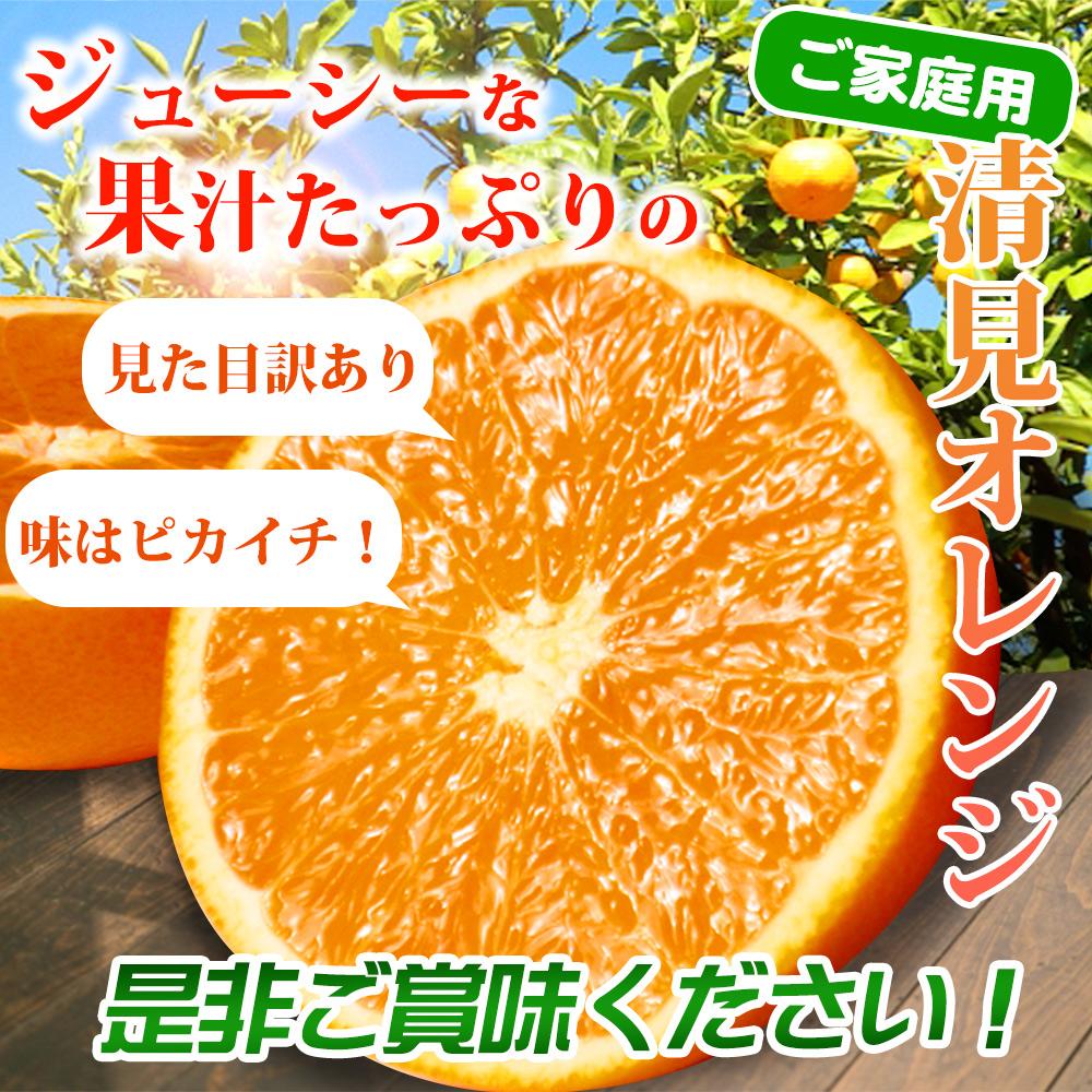 シサ縺泌ョカ蠎ュ逕ィ險ウ縺ゅjシス邏蟾樊怏逕ー逕」貂隕九が繝ャ繝ウ繧ク 邏5kgシサ2027蟷エ3譛井ク区流莉・髯咲匱騾シスシサ蜈郁。御コ育エシスシサUT132シス