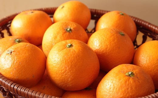 ［濃厚］有田産清見オレンジ約5kg（サイズおまかせ・青秀以上）★2027年2月下旬頃より順次発送［TM43］