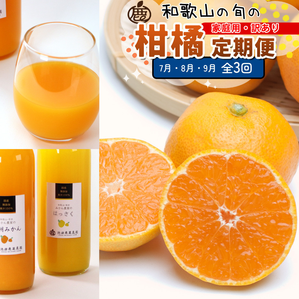 家庭用 柑橘定期便S（7～9月）全3回 ［IKE305］