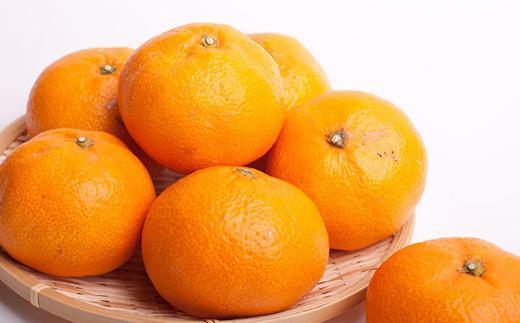 シサ蜈郁。御コ育エシス螳カ蠎ュ逕ィ 螟ァ縺阪↑譛臥伐縺ソ縺九s5kg+250gシ亥す縺ソ陬懷─蛻シ会シサ2026蟷エ11譛井クュ譌ャ縺九i2027蟷エ1譛域忰譌・鬆縲鬆谺。逋コ騾∽コ亥ョ夲シスシサIKE244シス