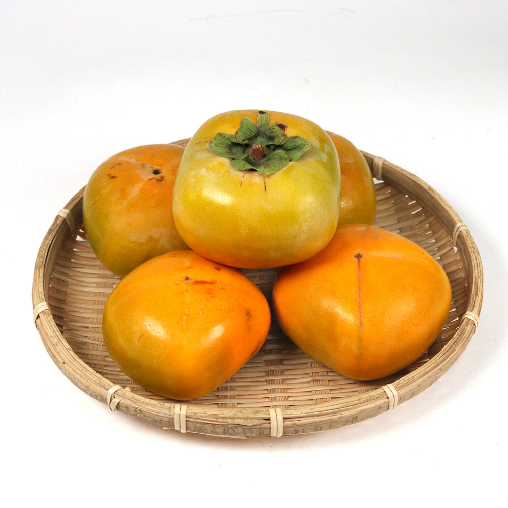 ［先行予約］家庭用 たねなし柿 約2.5kg［訳あり］［刀根早生・平核無柿（ひらたねなしかき）］［カキ・種無柿・種無し柿・種なし柿・無核柿］［IKE318］