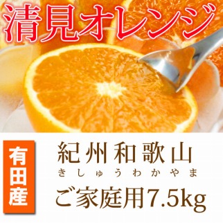 ［ご家庭用訳アリ］紀州有田産清見オレンジ　7.5kg［2027年3月下旬以降発送］［先行予約］［UT54］