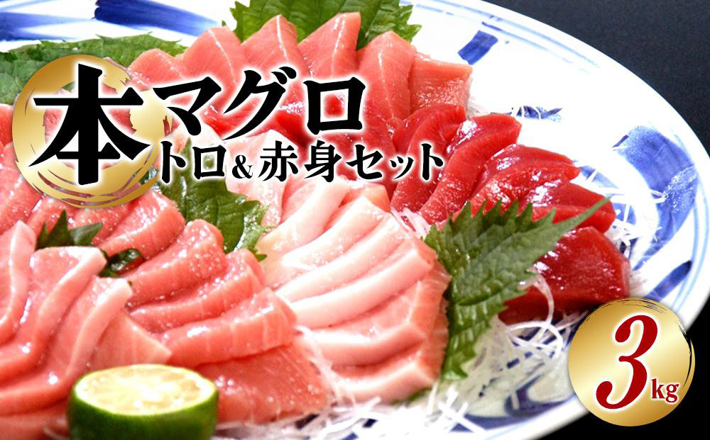 本マグロ（養殖）トロ＆赤身セット　3kg［KS14］