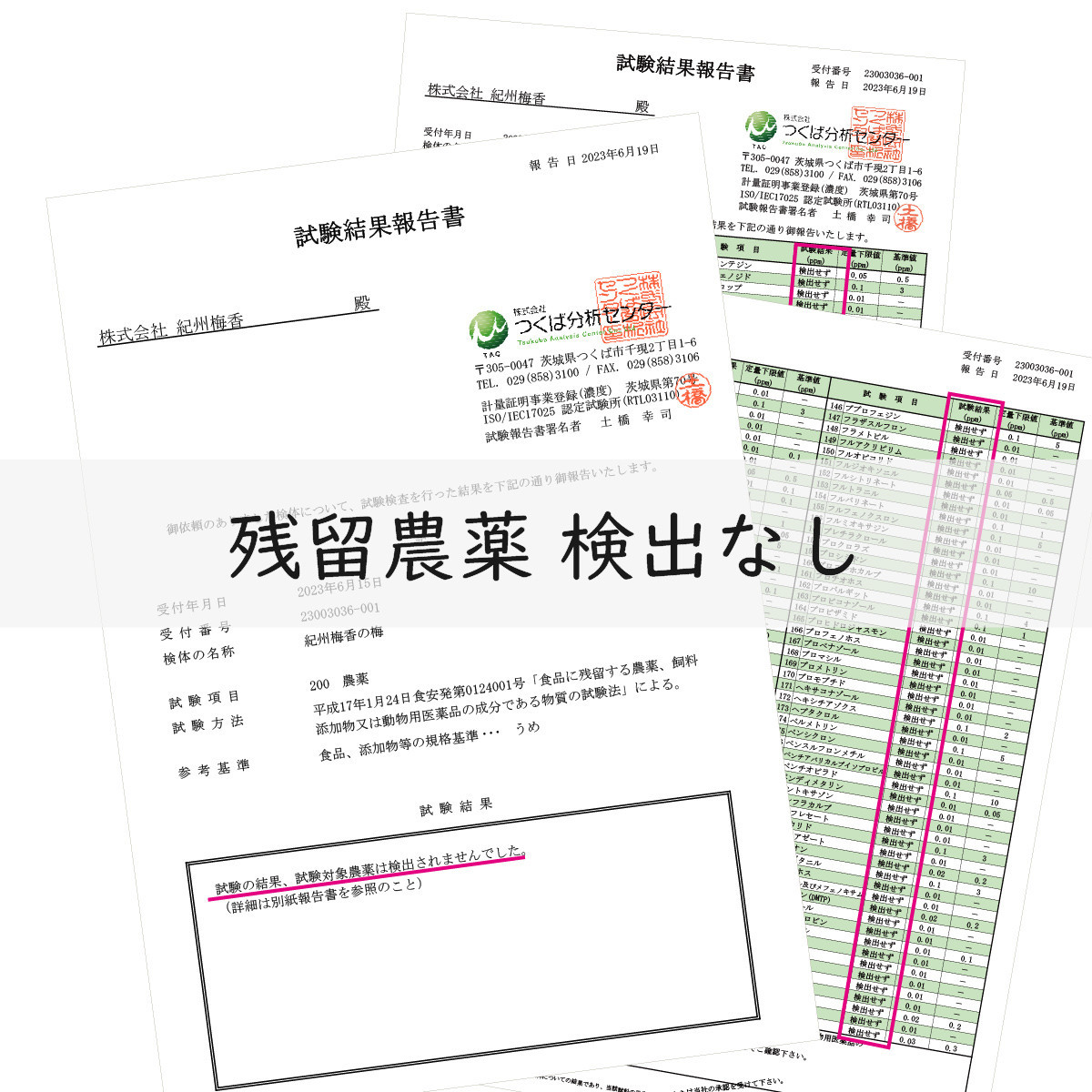 規格外品 無添加無農薬 昔ながらの梅干し 紀州南高梅 塩のみで漬けたすっぱい梅干し 800g（400gパックx2個）塩分約23% 3年熟成品 N20-K ［KU8］