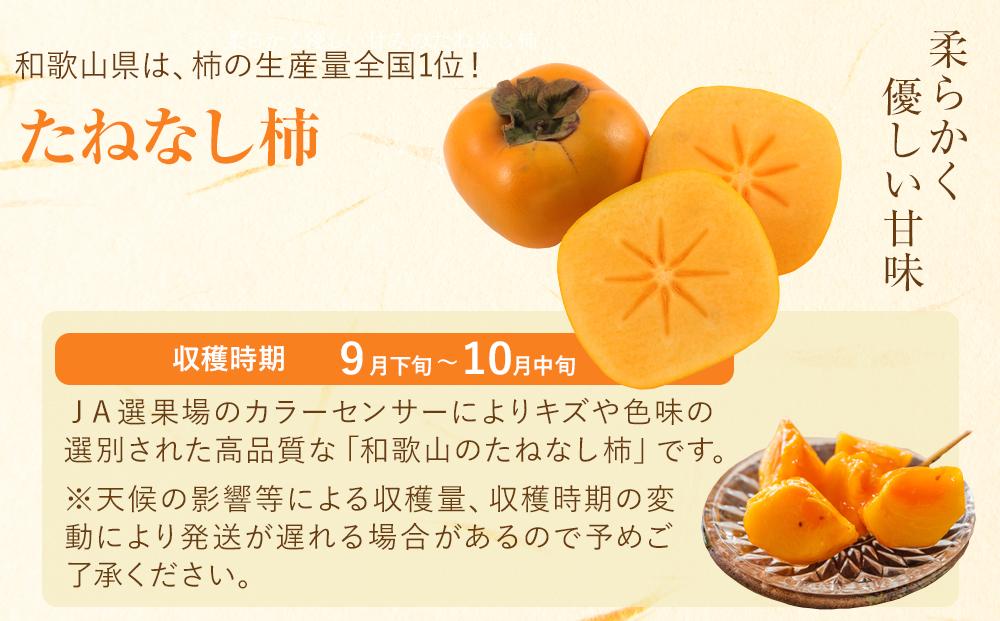 【2026年発送】JAわかやま(紀北地域)のたねなし柿 秀品 約7.5Kg L〜4Lサイズ