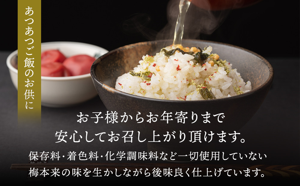 【定期便（2月・6月・10月）全3回お届け】 紀州南高梅使用 しそ仕込み完熟梅干し 無選別1kg ［TM214］