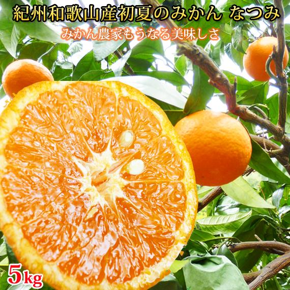 初夏のみかん なつみ 5kg［先行予約］［2026年4月中旬より発送］［UT57］