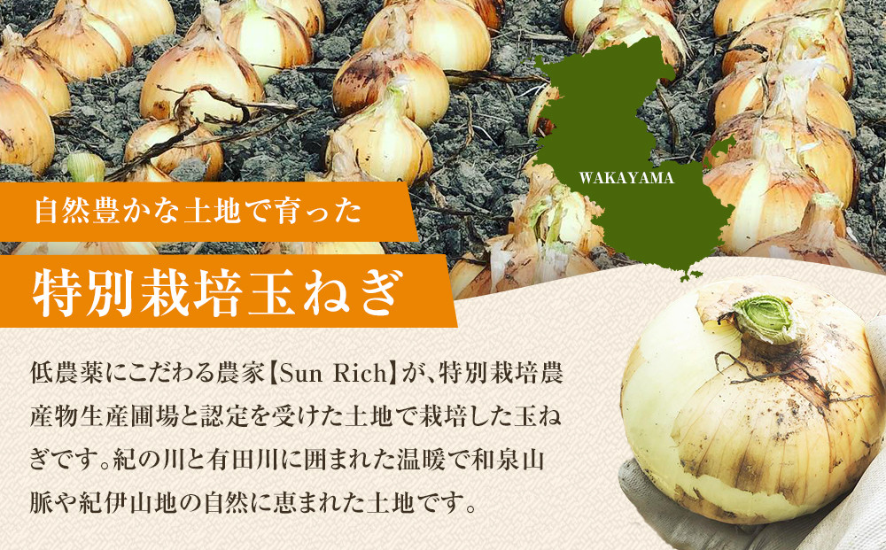 シサ2026蟷エ逋コ騾∝繝サ蜈郁。御コ育エシス霎イ螳カ縺輔s逶エ騾 菴手セイ阮ャ邇峨ュ縺 L繧オ繧、繧コ 10kg遞句コヲシサ4譛井クュ譌ャス7譛井クュ譌ャ鬆逋コ騾∽コ亥ョ夲シスシサKF16シス