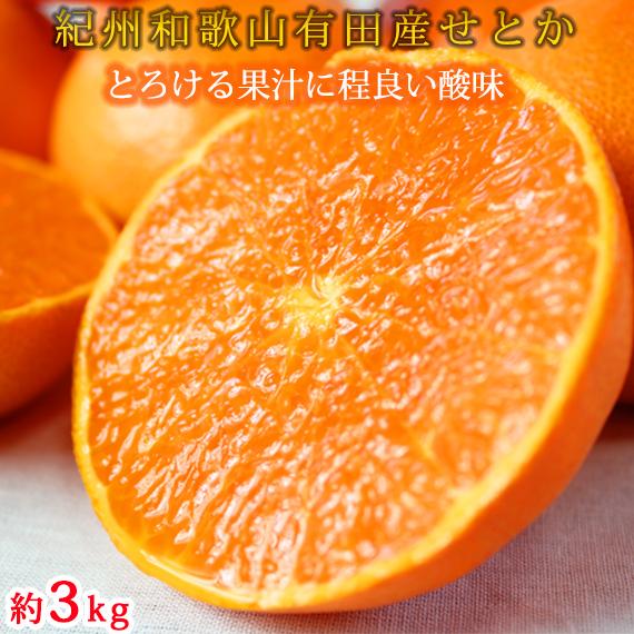 紀州有田産せとか約3kg　とろける食感！ジューシー柑橘［2027年3月上旬以降発送］［先行予約］［UT03］
