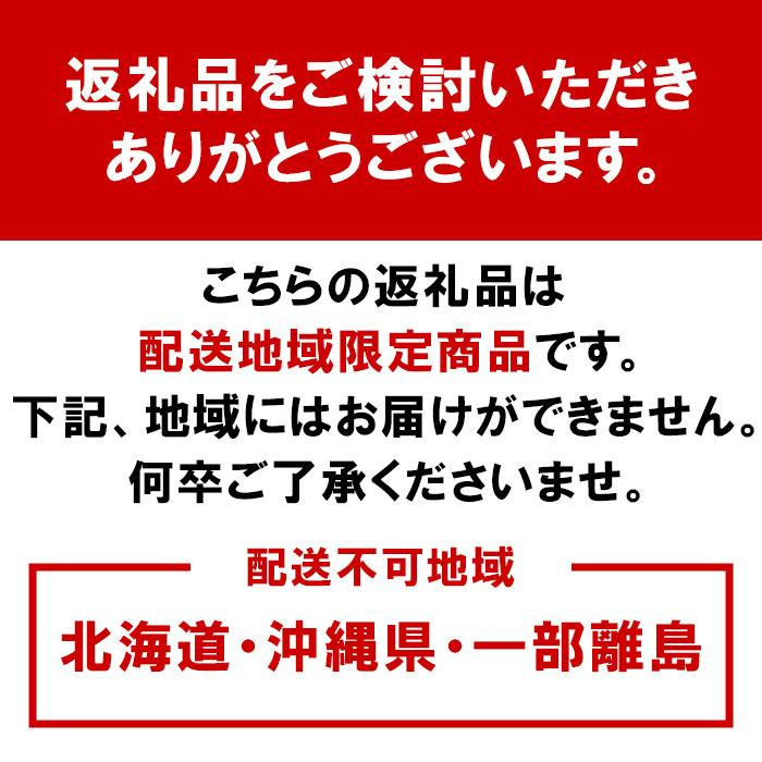 紀州南高梅 はちみつ梅干（テトラピロー）12個入り 【2箱】 【US10】