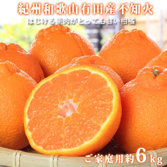 ［ご家庭用訳あり］紀州有田産不知火(しらぬひ) 約6kg［2027年2月中旬以降発送］［先行予約］［UT136］