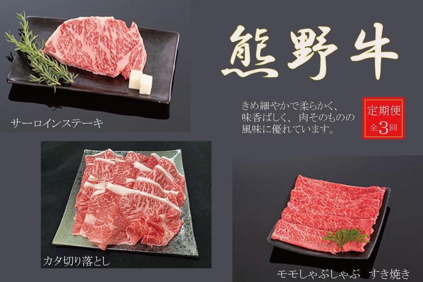 【定期便全3回】熊野牛 極上定期便セットB（1カ月に1回お届け）（全3ヵ月）［MG48］