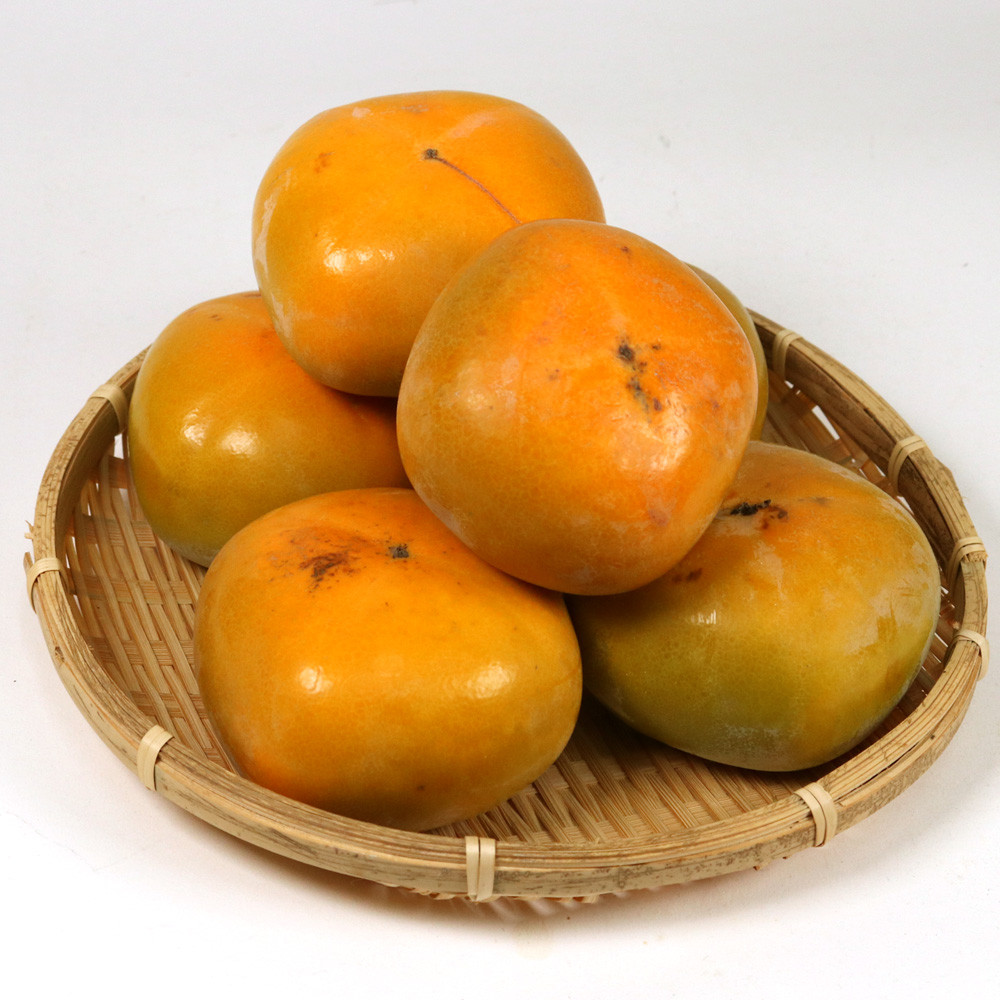 ［先行予約］家庭用 たねなし柿 約2.5kg［訳あり］［刀根早生・平核無柿（ひらたねなしかき）］［カキ・種無柿・種無し柿・種なし柿・無核柿］［IKE318］