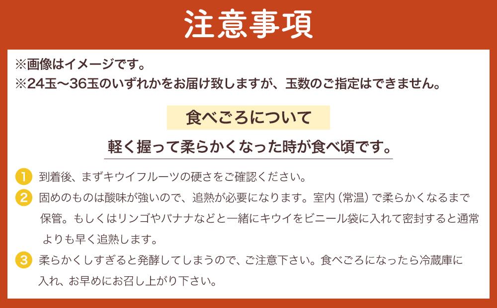 和歌山九度山町産 キウイフルーツ 約3.6kg (玉数おまかせ 24玉～36玉のいずれか 秀品)★ 2027年1月中旬頃より順次発送