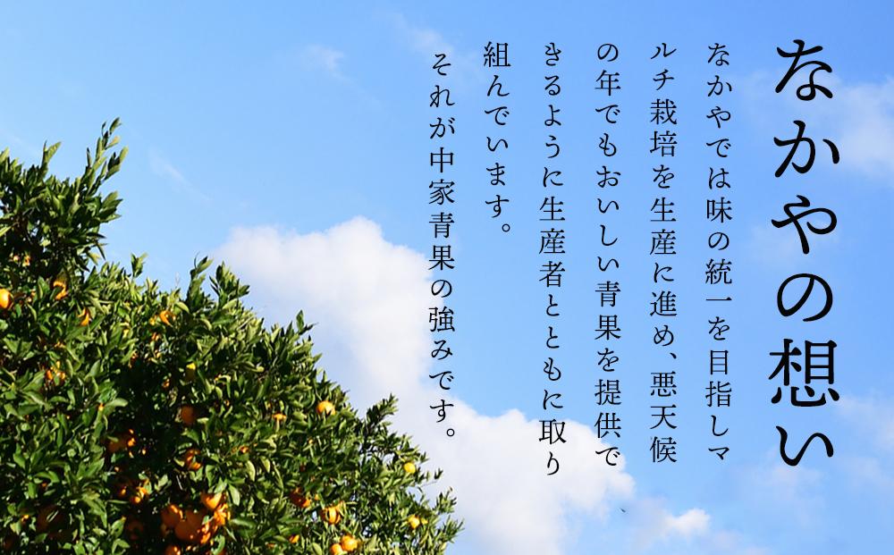 和歌山県産 糖度 12.5度以上 訳あり みかん 3kg 3S ～ Lサイズ混合［MG56］