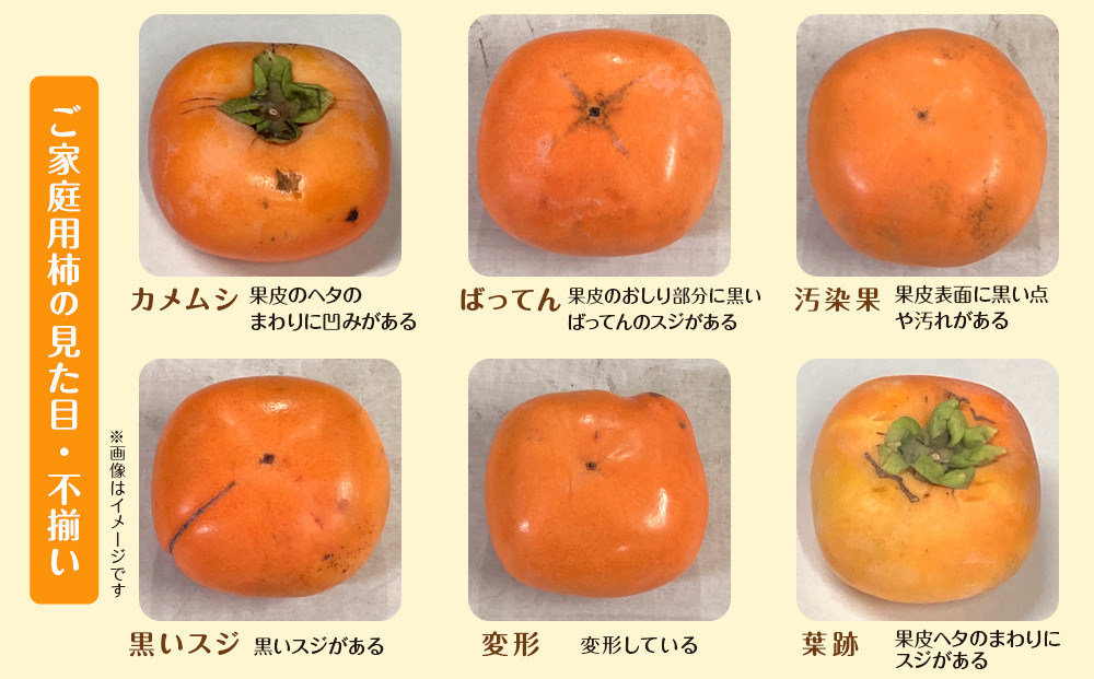 シサ2026蟷エ10譛井ク頑流莉・髯咲匱騾シス笳蜈郁。御コ育エ笳 蜥梧ュ悟アア逵檎肇 蟷ウ譬ク辟。譟ソシ懊#螳カ蠎ュ逕ィシ樒エ7.5kg 貅譚ッ隧ー繧 譟ソ 遞ョ辟。縺 縺溘ュ縺ェ縺 縺イ繧峨◆縺ュ 險ウ縺ゅj シサMG87シス