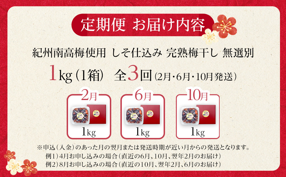 【定期便（2月・6月・10月）全3回お届け】 紀州南高梅使用 しそ仕込み完熟梅干し 無選別1kg ［TM214］