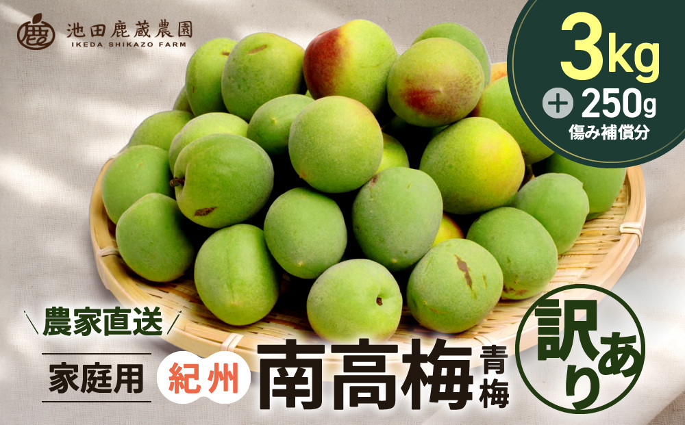 家庭用 紀州南高梅(青梅)3kg+250g（傷み補償分）【梅干し・梅ジュース】【訳あり】［IKE112］