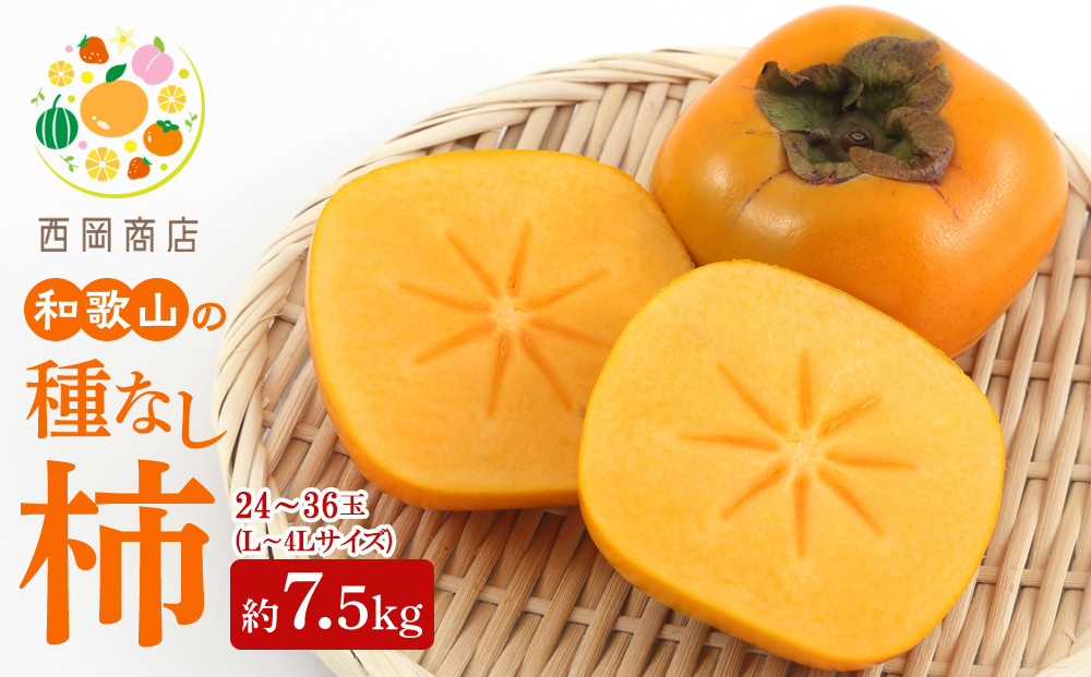 【2026年発送】和歌山の たねなし柿 秀品 約7.5Kg Ｌ～４Ｌサイズ カラーセンサー選果 （和歌山県九度山町産）