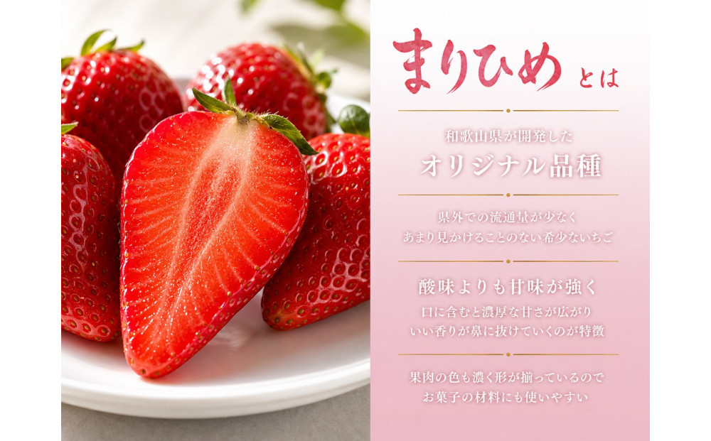 çŽå·åæå±±ãã©ã³ããã¡ãããŸãã²ããçŽ250gÃ4P 2027幎3æäžæ¬é ïœ3æäžæ¬é ã«é 次çºéUT39