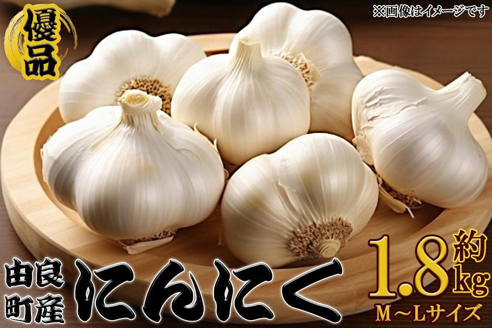 由良町産にんにく 優品 約1.8kg(900g×2／M～Lサイズ)【SL18】