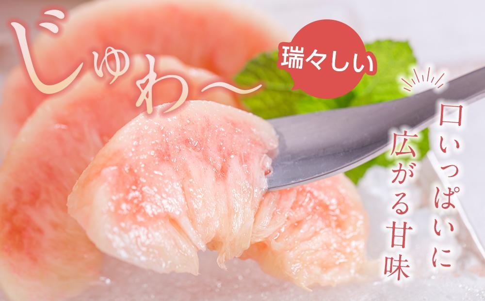 æ¡ æ¥µäžç§å çŽ2kg 6ïœ8åå
¥ïŒ»å
è¡äºçŽïŒœïŒ»2026幎7ææ«ãã8ææ«é æ¬¡çºéãã ãã蟲家å³éžïŒ»KG19