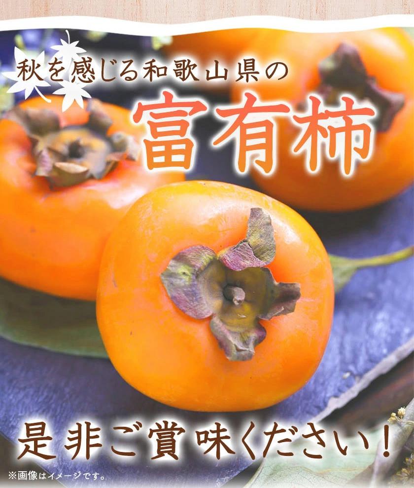 和歌山秋の味覚　富有柿　約２ｋｇ化粧箱入「2026年11月上旬以降発送予定」［UT49］