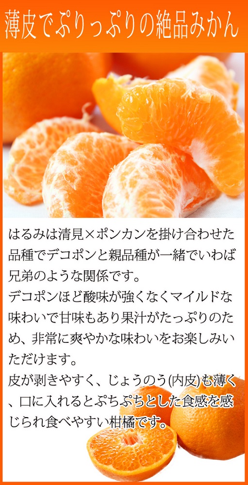 果肉ぷりぷり!完熟はるみ　５ｋｇ［2027年2月上旬頃～2027年2月下旬頃に順次発送］［UT22］