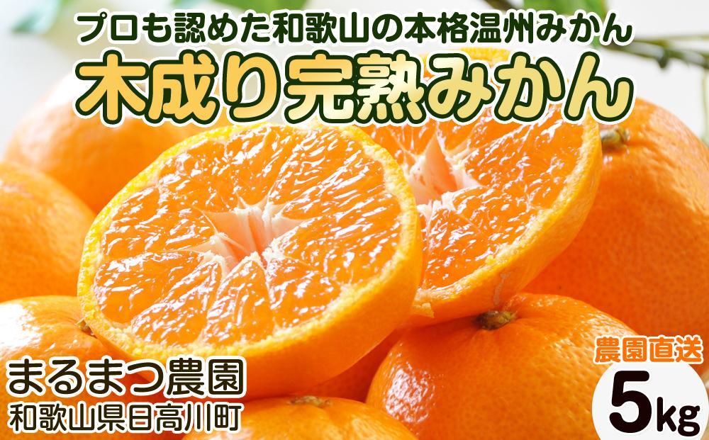 【2026年12月～2027年1月発送】濃厚完熟 木成り温州みかん 5kg ミックスサイズ 和歌山県産