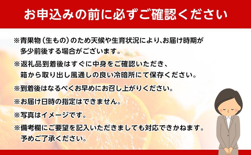和歌山県産 糖度 12.5度以上 秀品 贈答用 みかん 3kg 3S ～ Lサイズ混合［MG54］