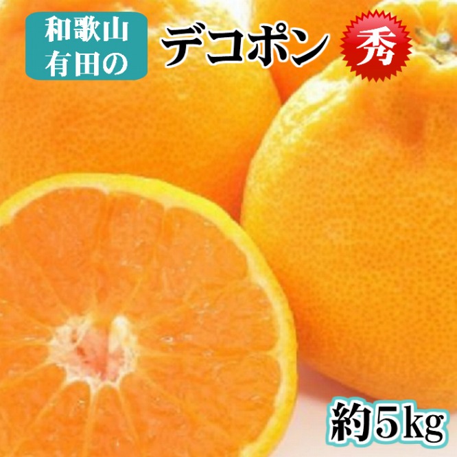 【秀品】和歌山有田のデコポン！約5kg【2027年1月下旬以降順次発送】【NGT2】
