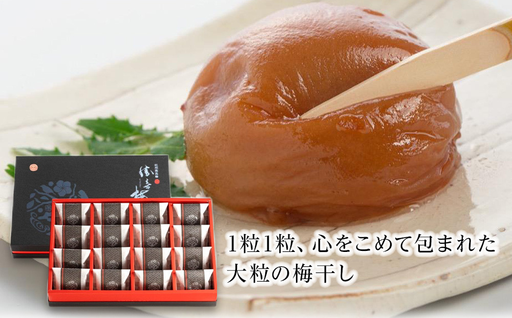 大粒の紀州南高梅 人気のはちみつ仕立て「極」16包　［SB2］