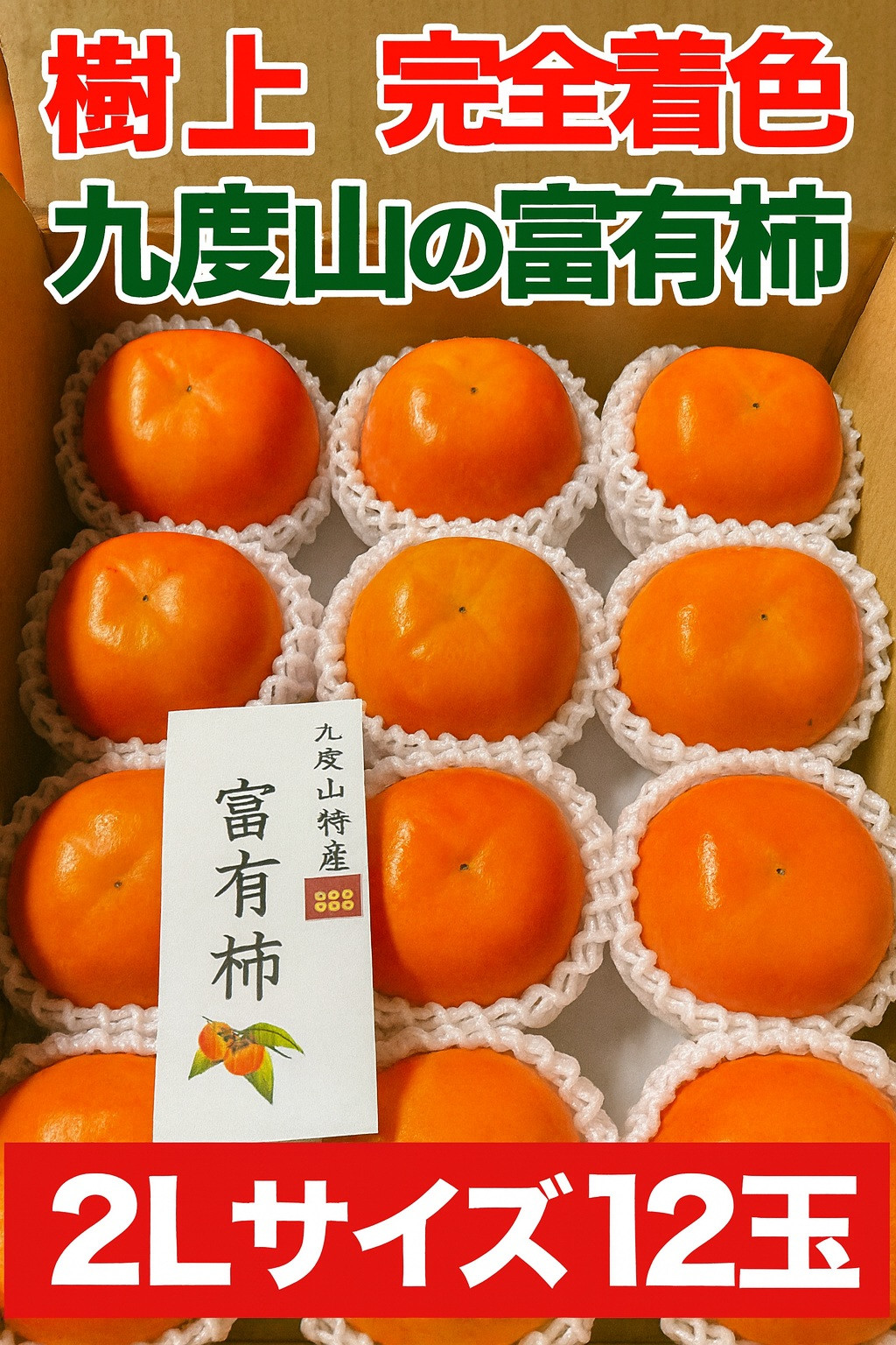 【2026年発送】こだわりの樹上完全着色「九度山の富有柿」2Lサイズ12玉