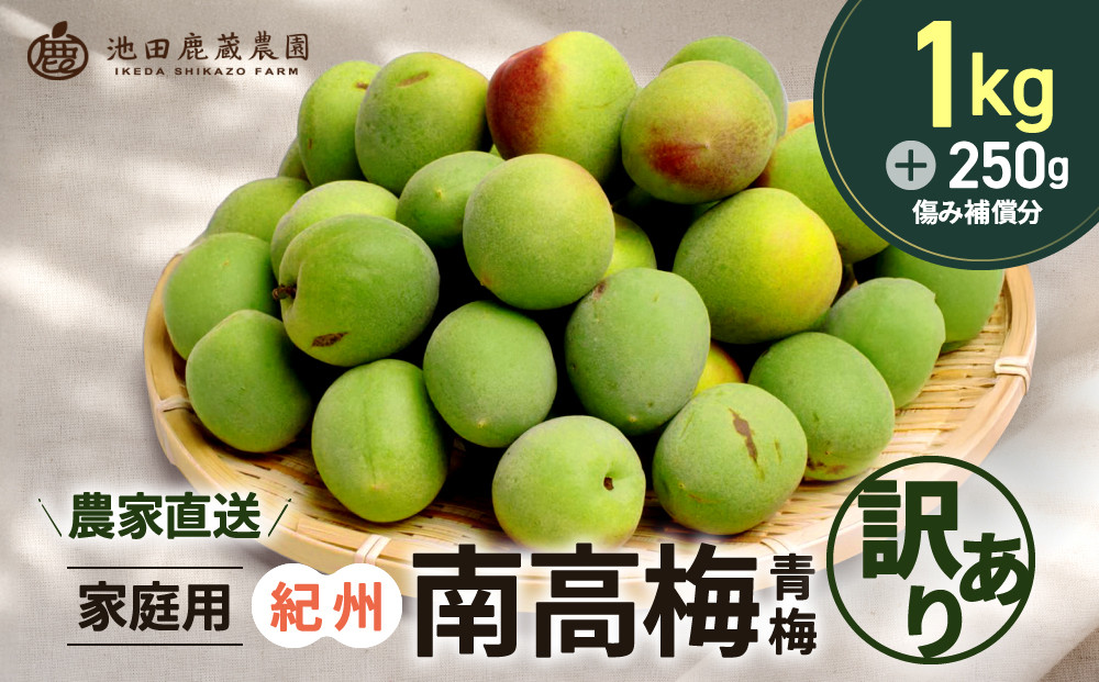 家庭用 紀州南高梅(青梅)1kg+250g（傷み補償分）【梅干し・梅酒・梅ジュース】【訳あり】［IKE315］