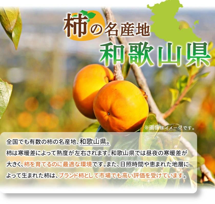 和歌山秋の味覚　富有柿　約２ｋｇ化粧箱入「2026年11月上旬以降発送予定」［UT49］