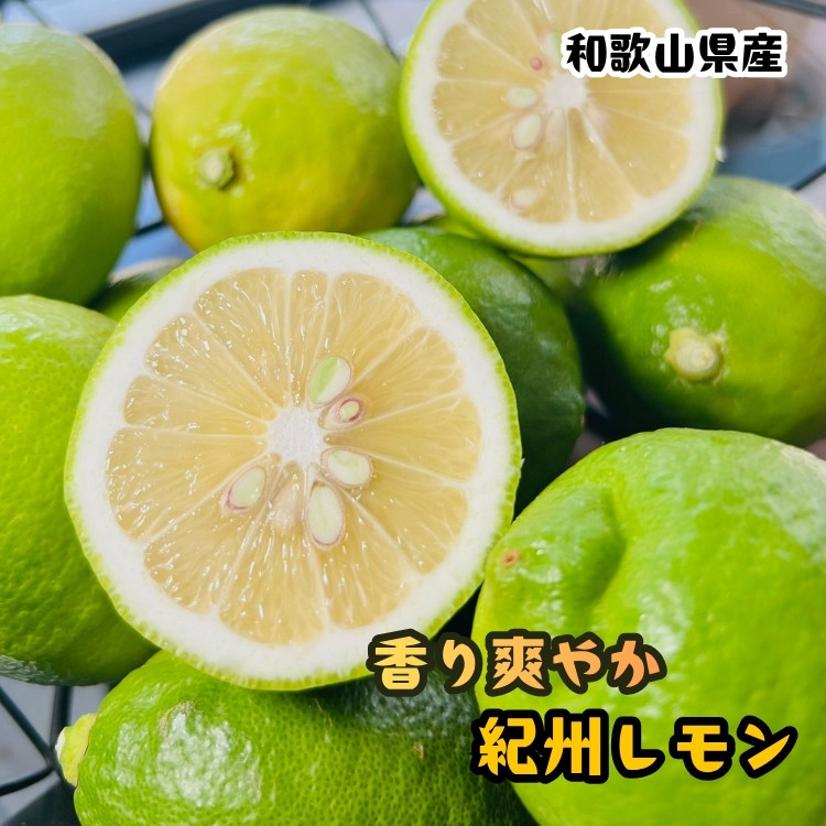 農家直送 紀州 レモン 約3kg［MS122］