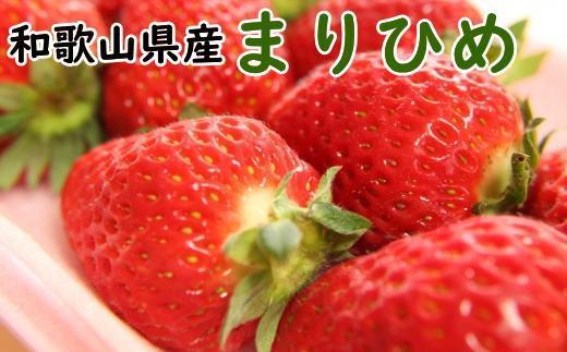 ［2027年4月発送］和歌山県産ブランドいちご「まりひめ」約300g×2パック入り［TM100］