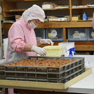 【贈答用】紀州南高梅 優梅 400g 化粧箱入 【US26】