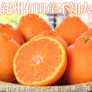 紀州有田産不知火(しらぬひ) 約５kg［2027年2月中旬以降発送］［先行予約］［UT40］