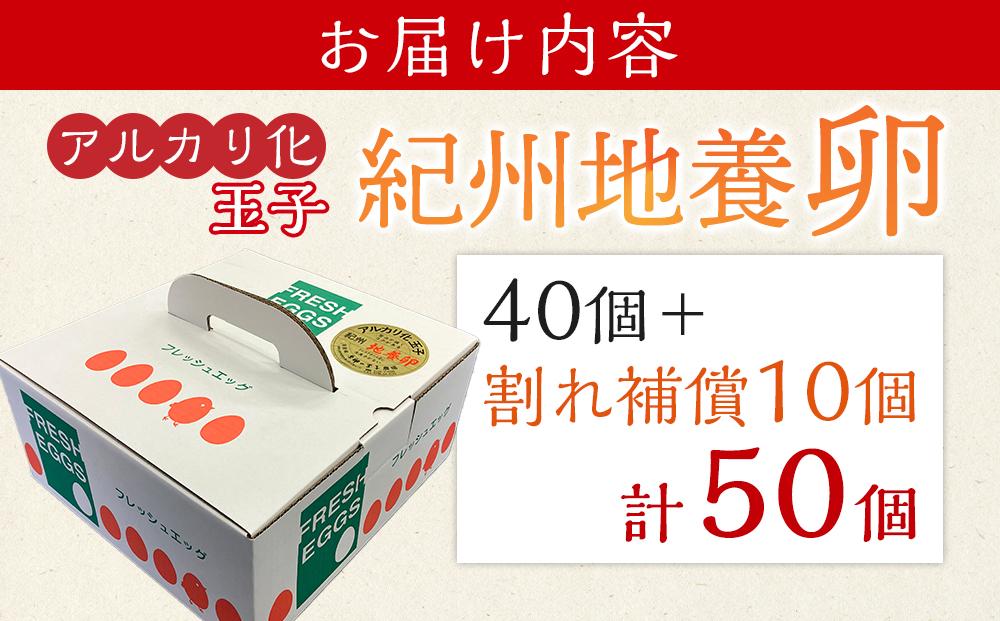 ã¢ã«ã«ãªå çå çŽå·å°é€åµ åèš 50åå
¥ (40åïŒå²ãè£åå10åïŒåµ ããŸã çå ã¿ã㎠é¶åµ ãŸãšãè²·ã ãªã ã¬ã åµããã飯 æé£ æ¥åçš